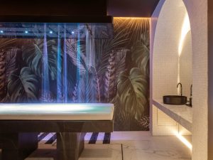 Negresco Le Spa image