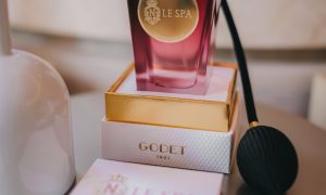 Negresco Le Spa image